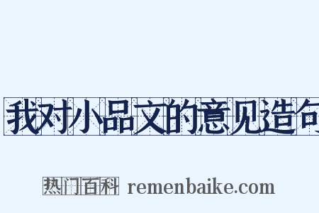 我对小品文的意见造句是什么意思的图片